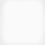 1900 Blanco 20x20