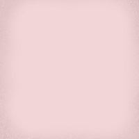 1900 Rosa 20x20