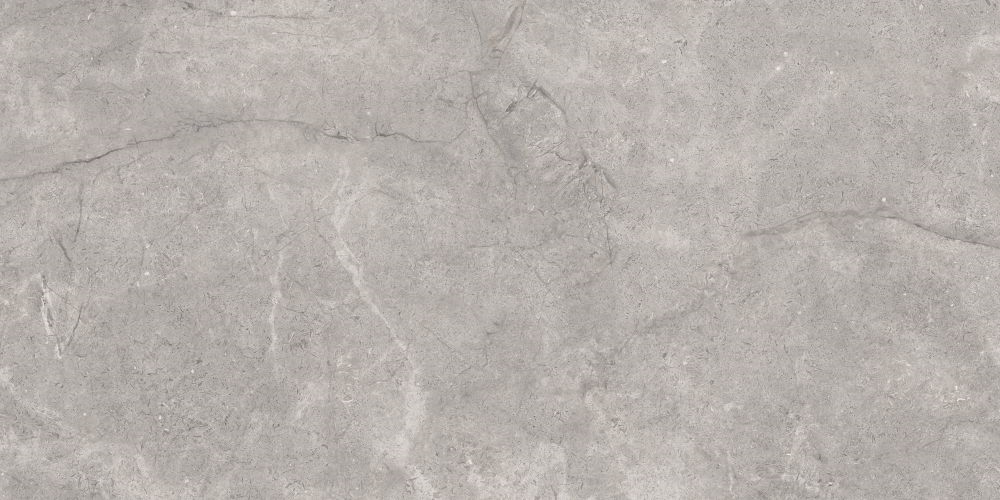 Acadia Grey 60X120
