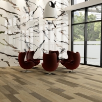 Acuarela White 60X120