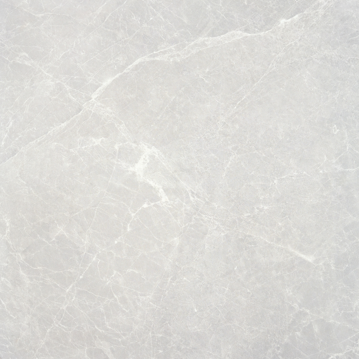 Allison Perla Satinado 60X60