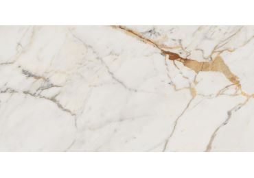Allmarble Golden White Lesk  60X120