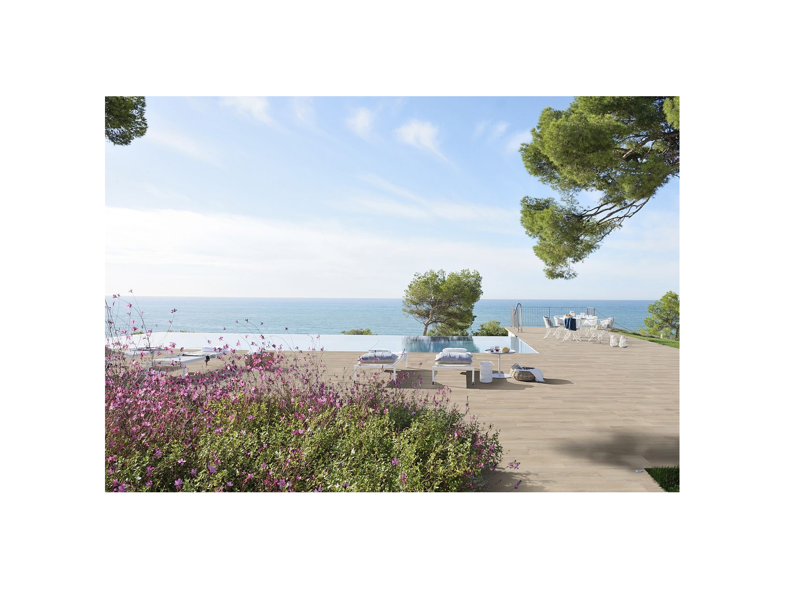 Alma Forest Ant. 19,41x97,8x1