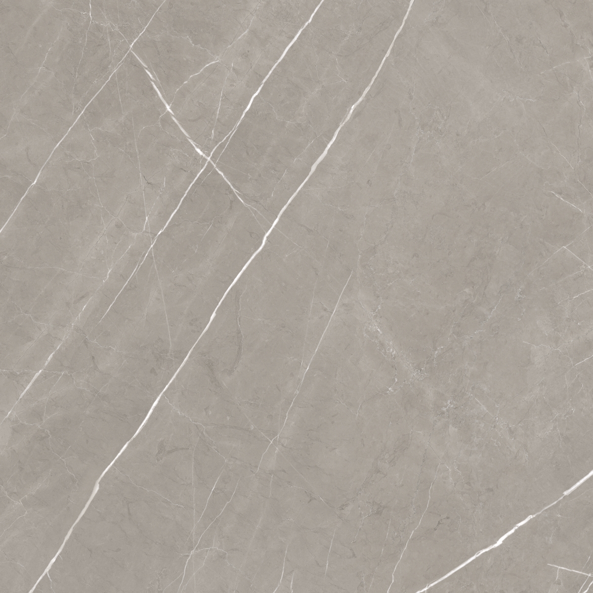 Alure Grey Satinado 100X100