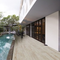Amazonia Pino 40,8X66,2