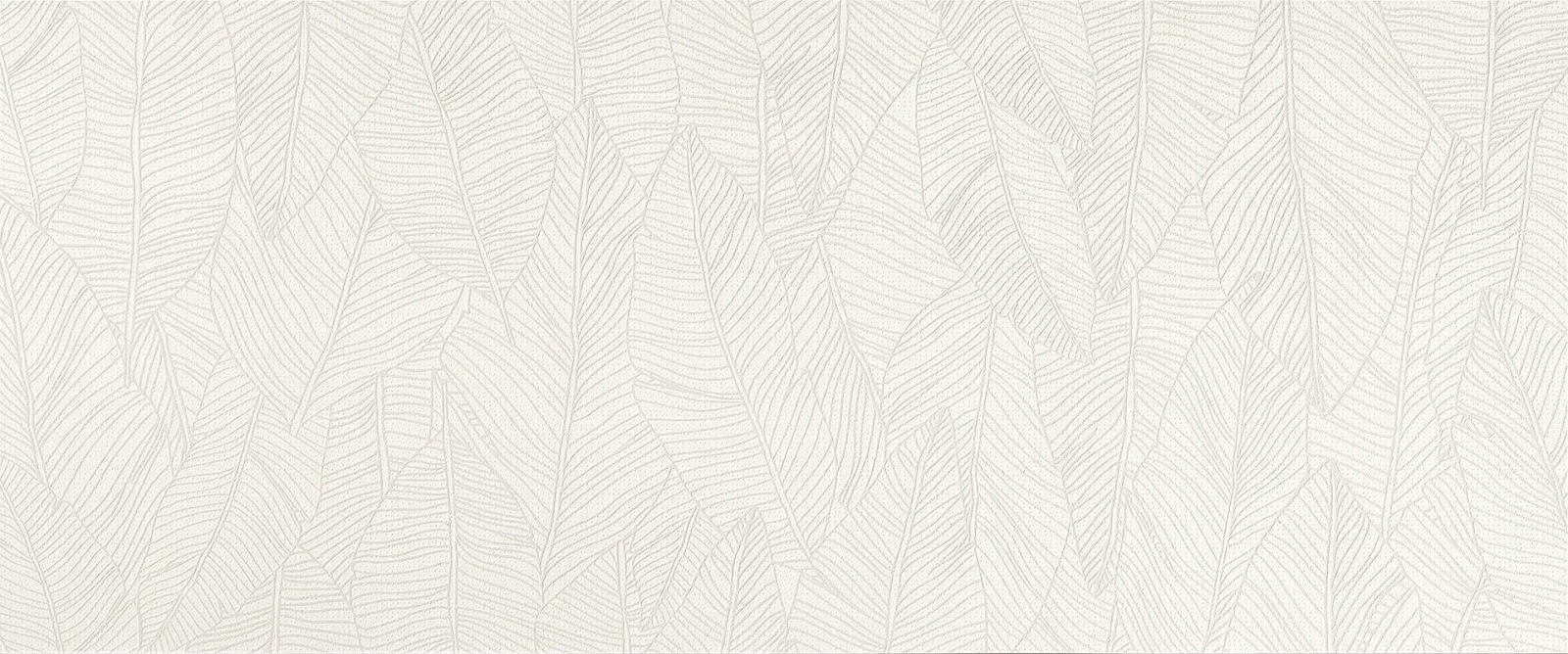 Aplomb White Leaf 50×120
