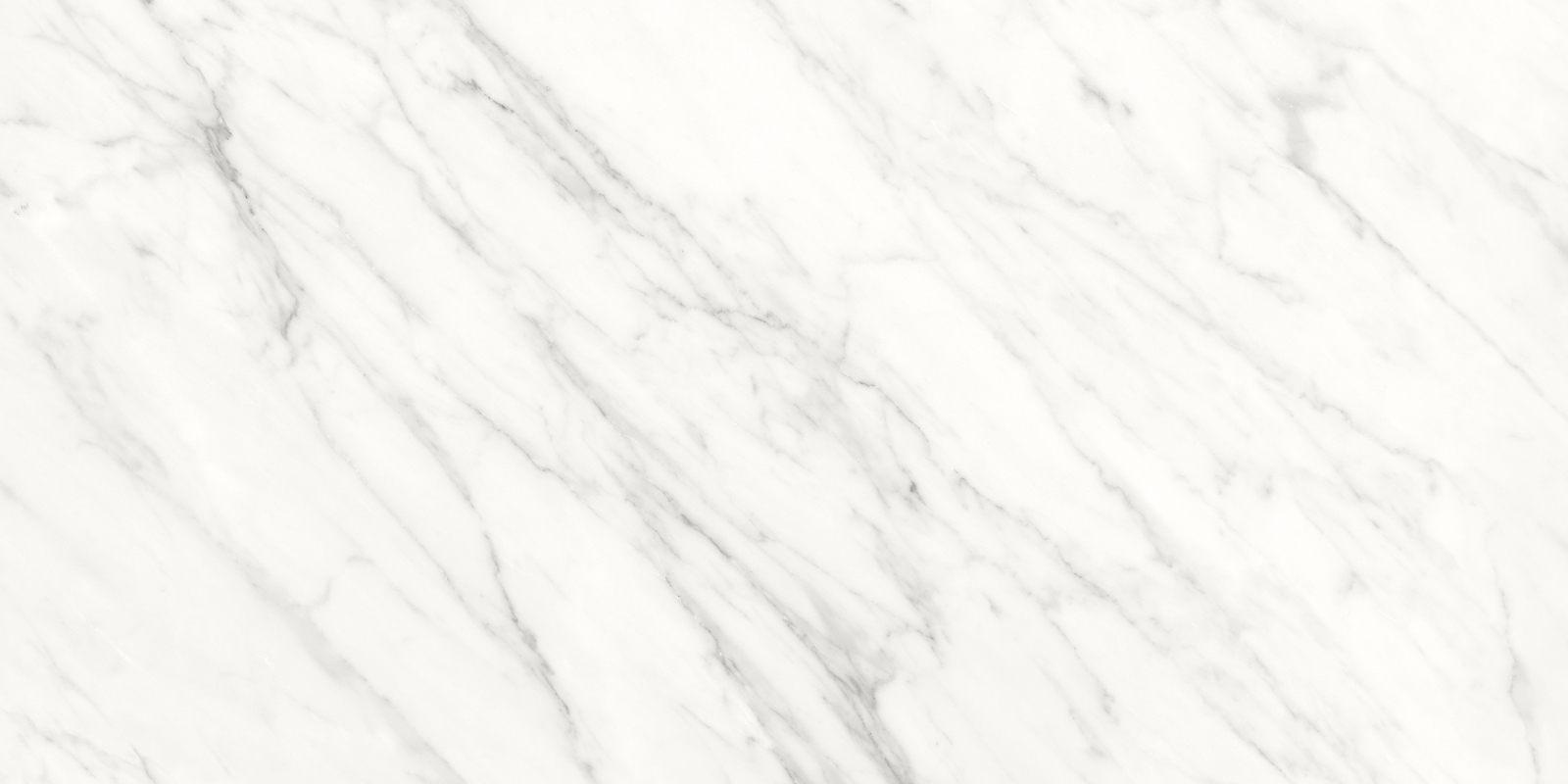Ares White Polished 60X120