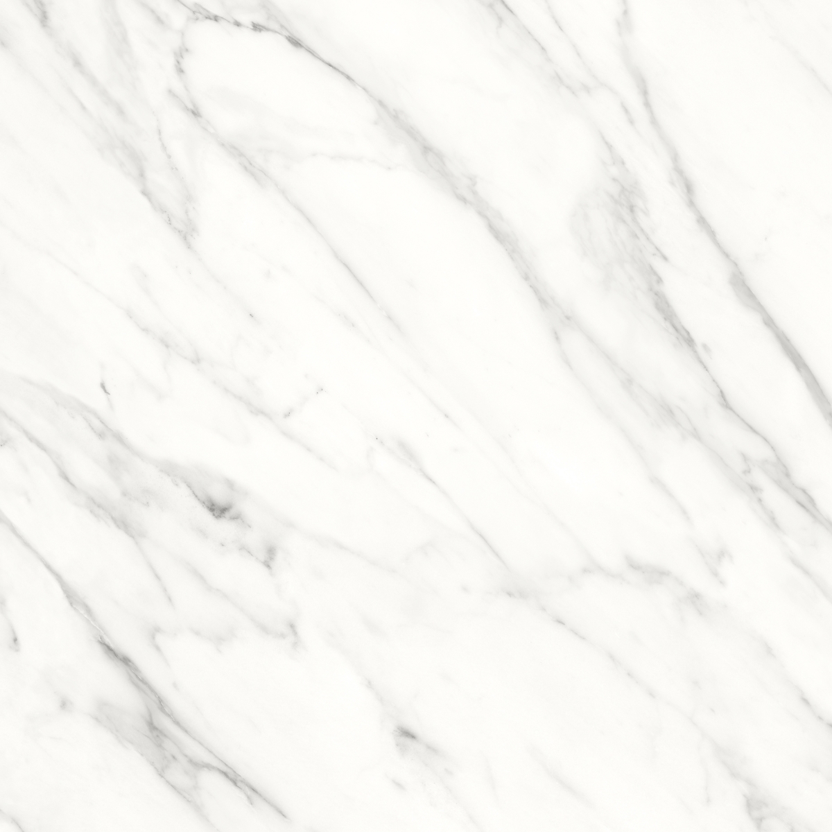 Ares White Polished Rc 60X60