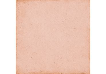 Art Nouveau Coral Pink 20x20
