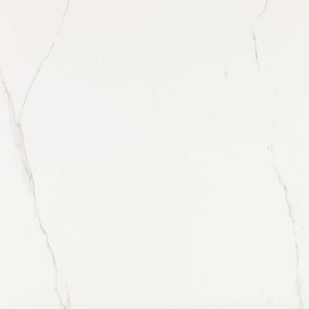 Artic 80X80