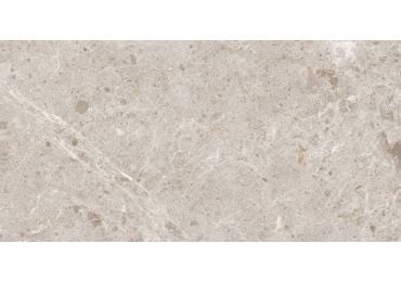Artic Beige Pul. 59x119