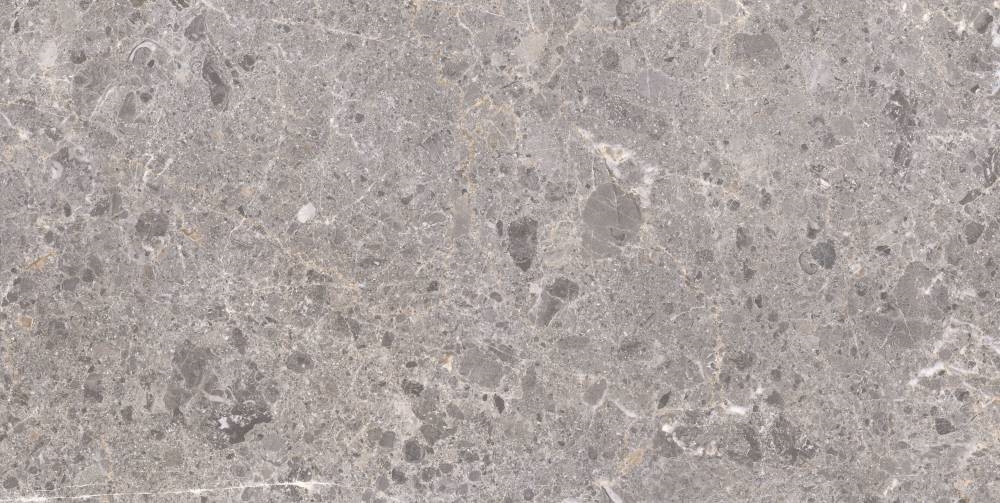 Artic Gris Pul. 59x119