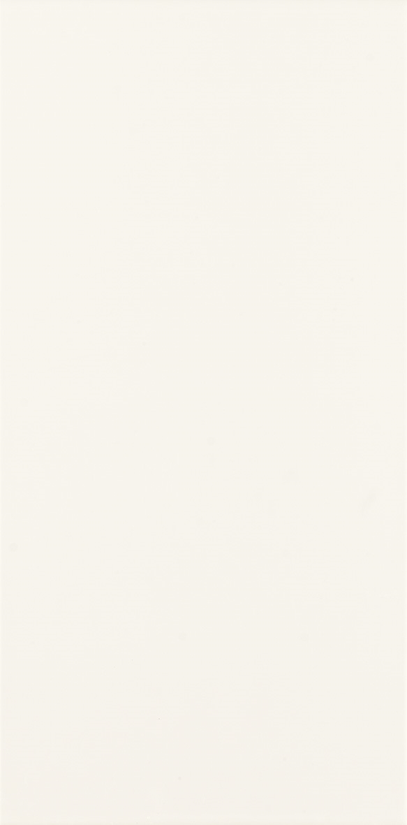 Aspen Blanco  25X50 Brillo