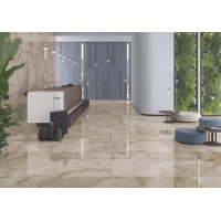 Aster-R  120X120
