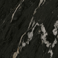 Aster-R 80X80