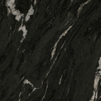 Aster-R 80X80