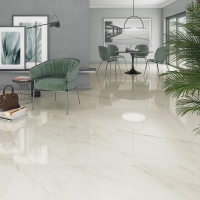 Aster-R 80X80