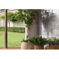 Atelier Cream 30x15