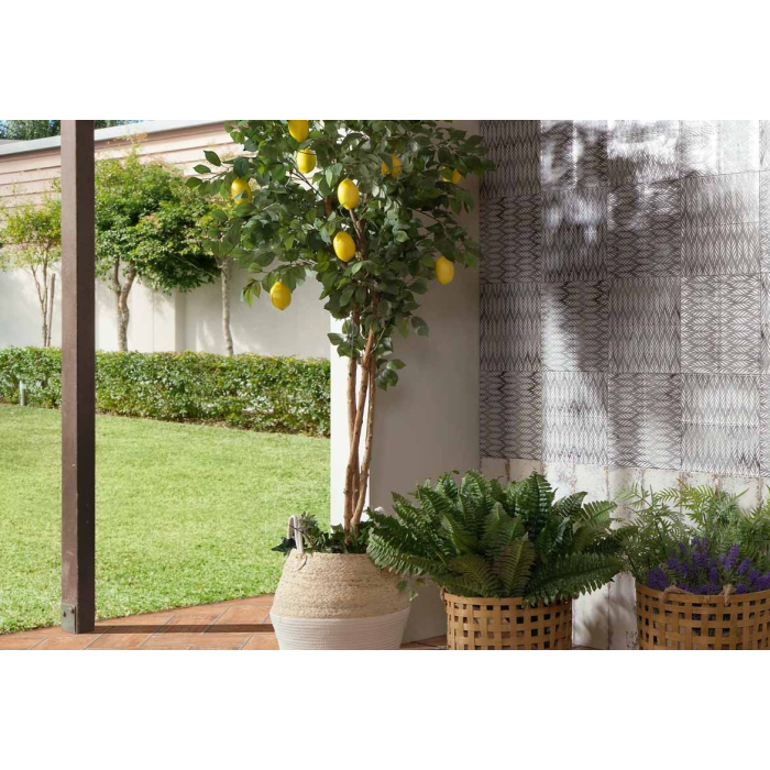 Aterra Crema 30x15