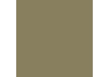Bauhome Grun 20x20