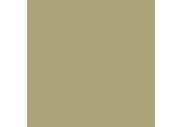 Bauhome Minze 20x20