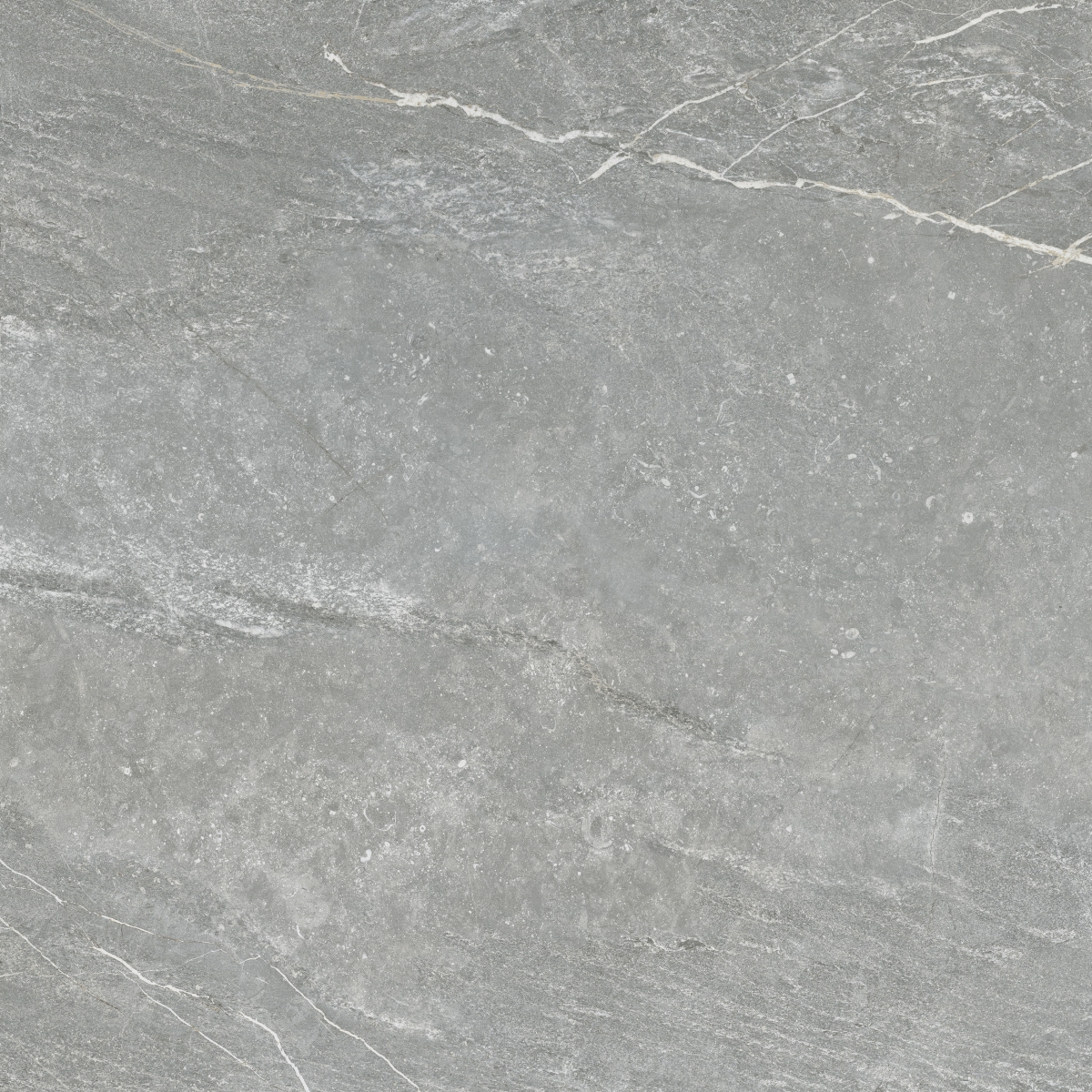 Betilo-R Grey 120X120