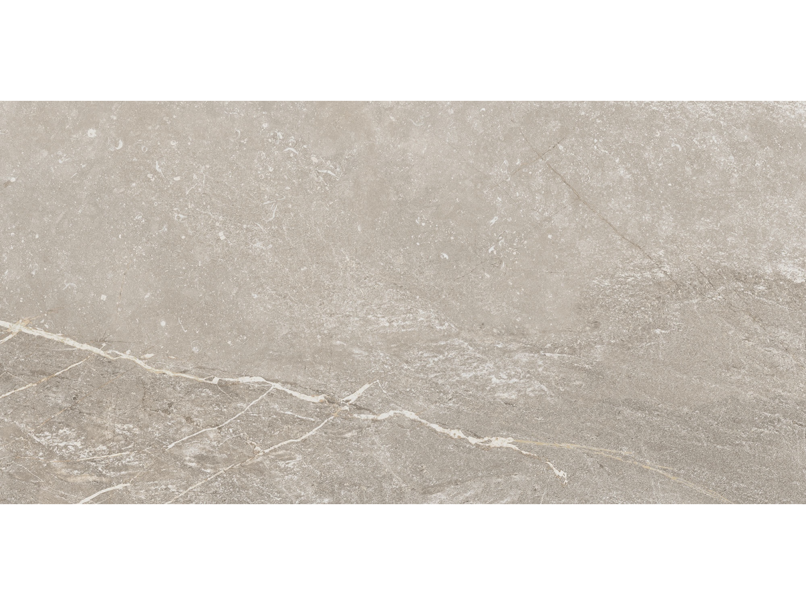 Betilo-R Taupe 60X120