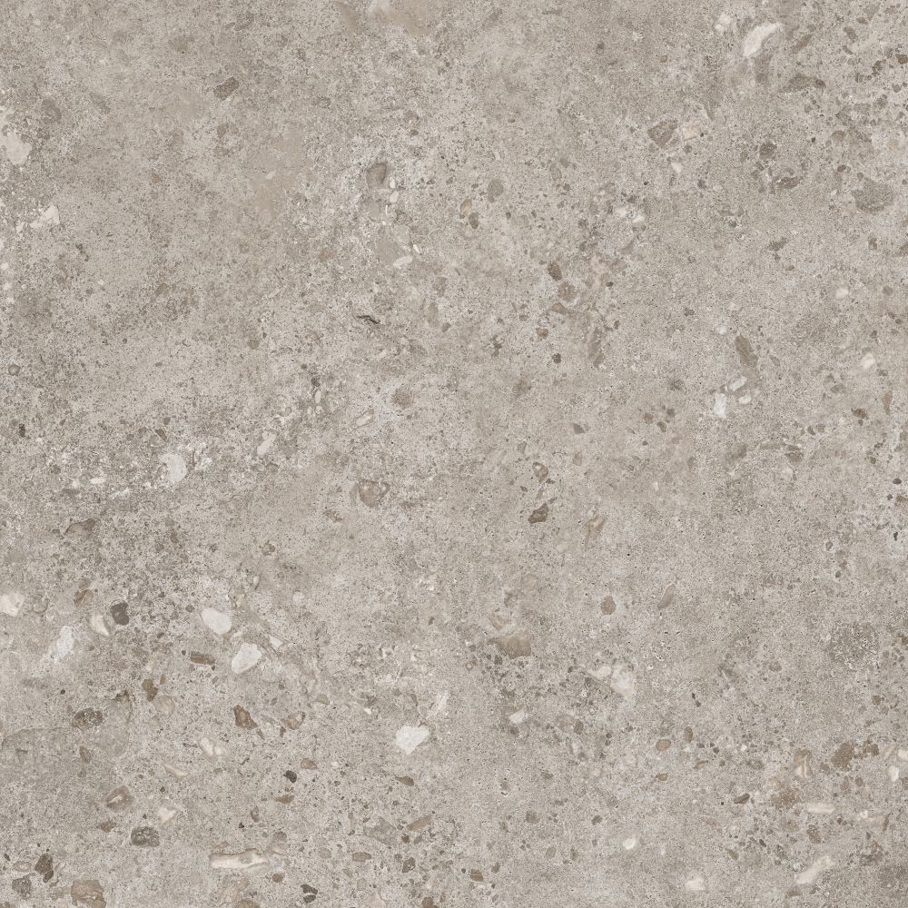 Bierzo Gris 120X120