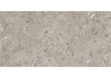 Bierzo Gris 60X120