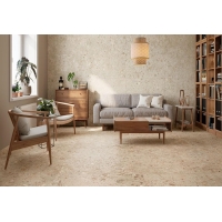 Bierzo Gris 60X120