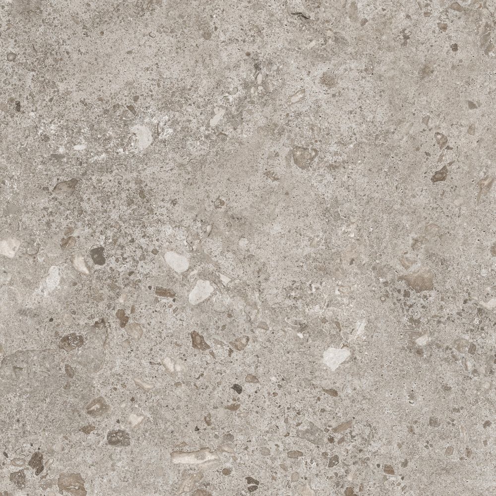 Bierzo Gris 80X80