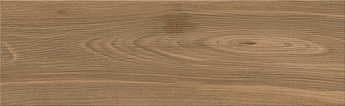 Birch Wood Brown 19X60