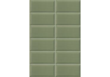 Bissel G-Olive 10x20