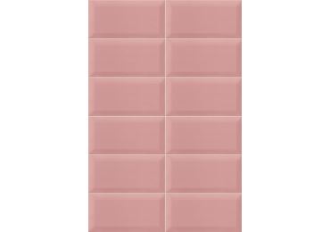 Bissel Pink 10x20