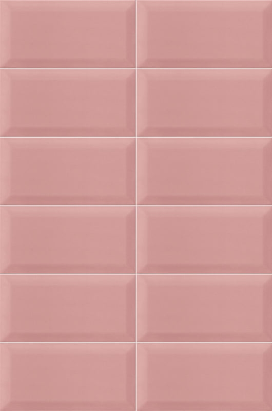Bissel Pink 10x20