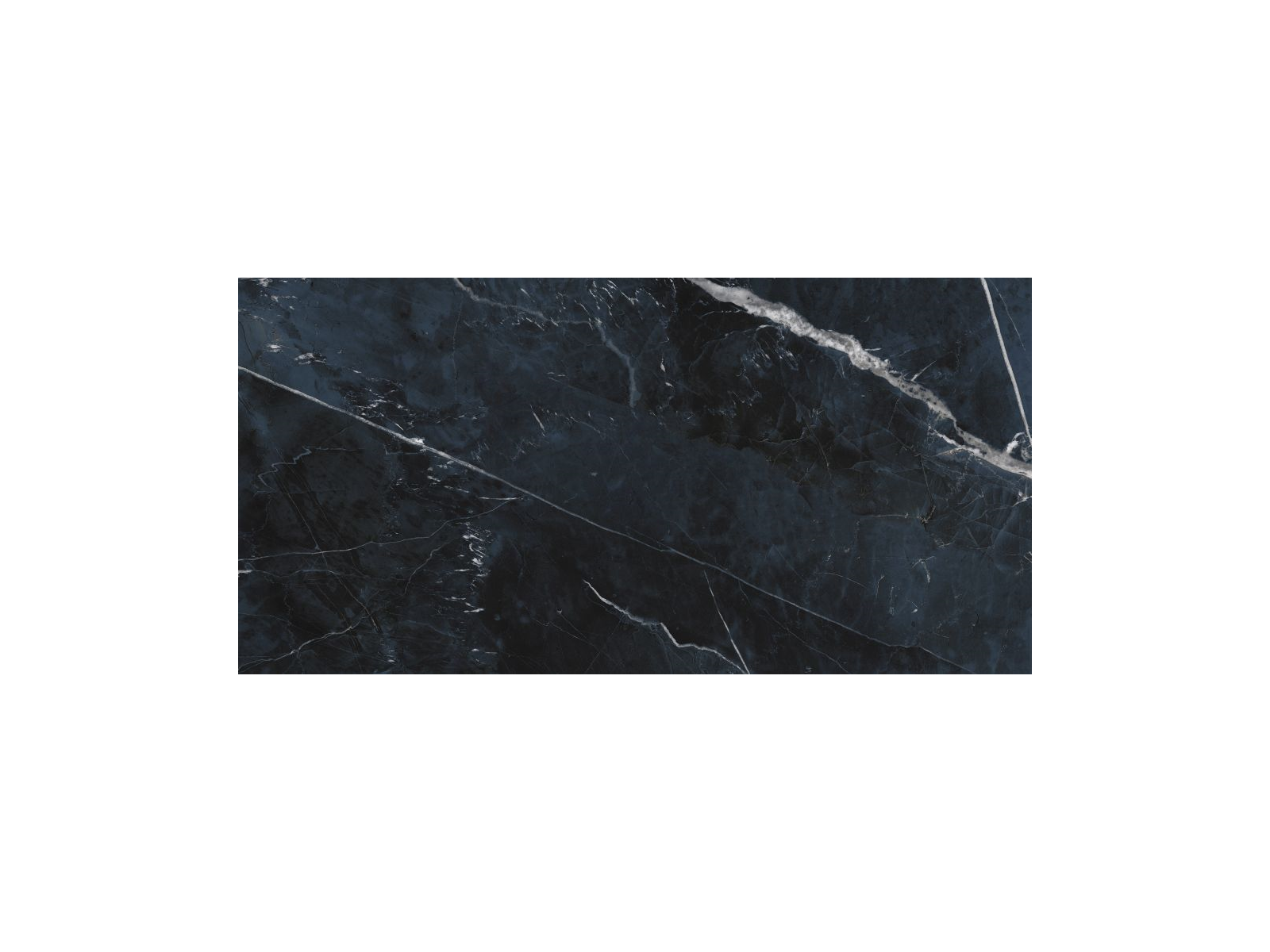 Black Calacatta 60X120