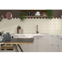 Blanco Liso Brillo 10x20