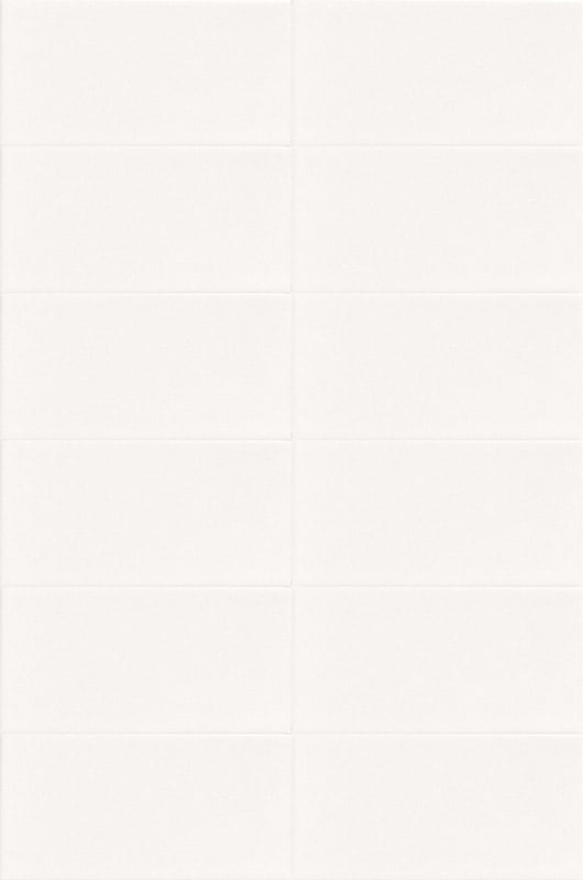 Blanco Liso Brillo 10x20