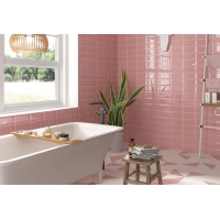 Blanco Mate Liso 10x20