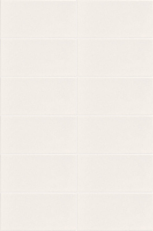 Blanco Mate Liso 10x20
