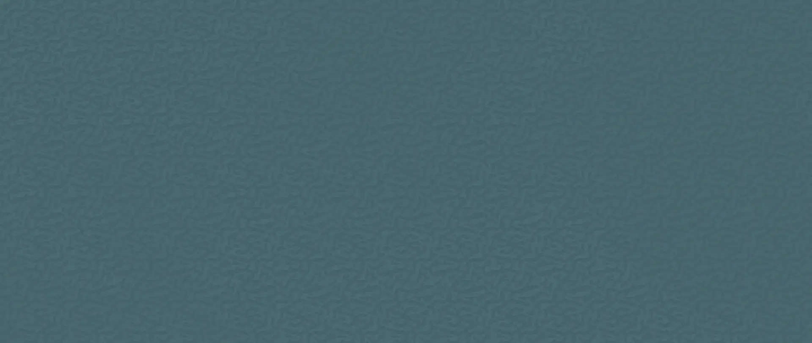 Boost Color Navy Frog 50×120