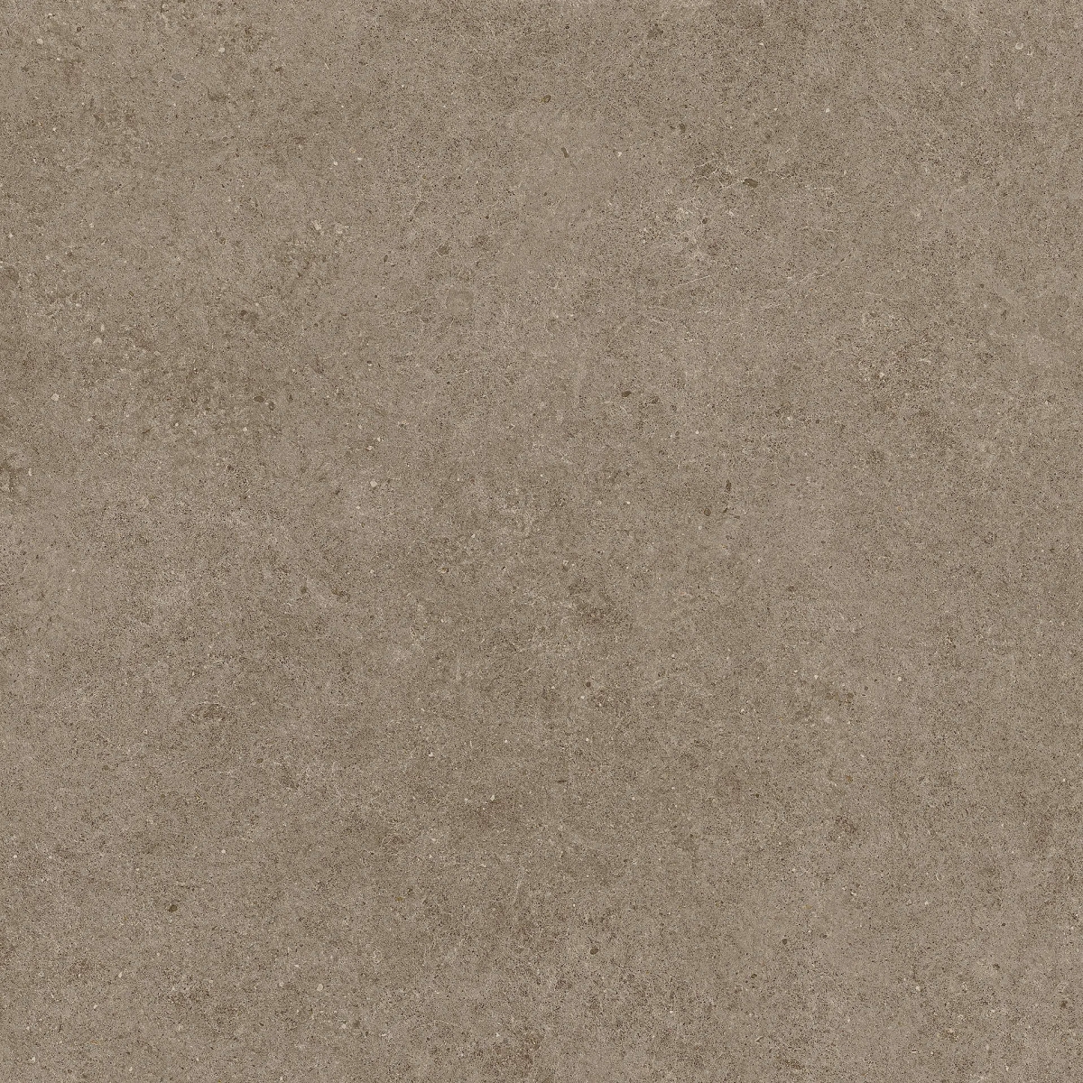 Boost Stone Taupe 120×120