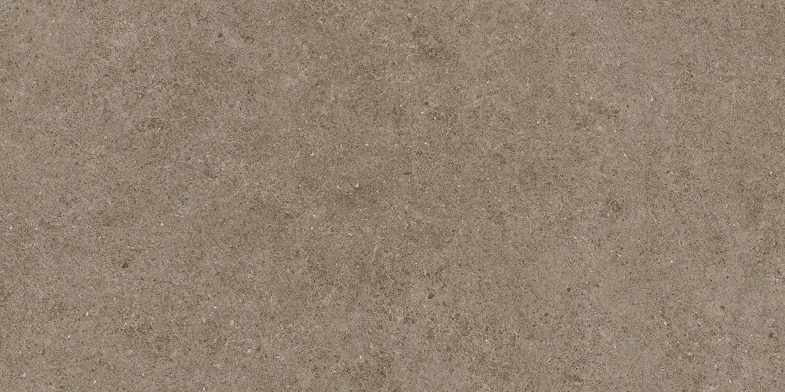 Boost Stone Taupe 60×120