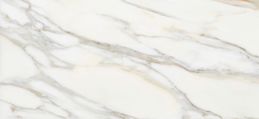 Borghini White Polished 60X120
