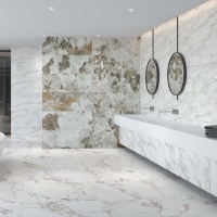 Borghini White Polished 60X120