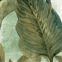 Botanic Decor 20X20