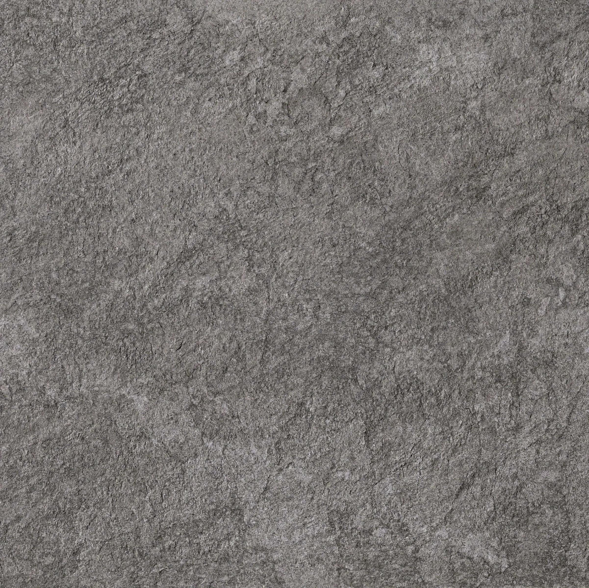 Brave Grey 75×75