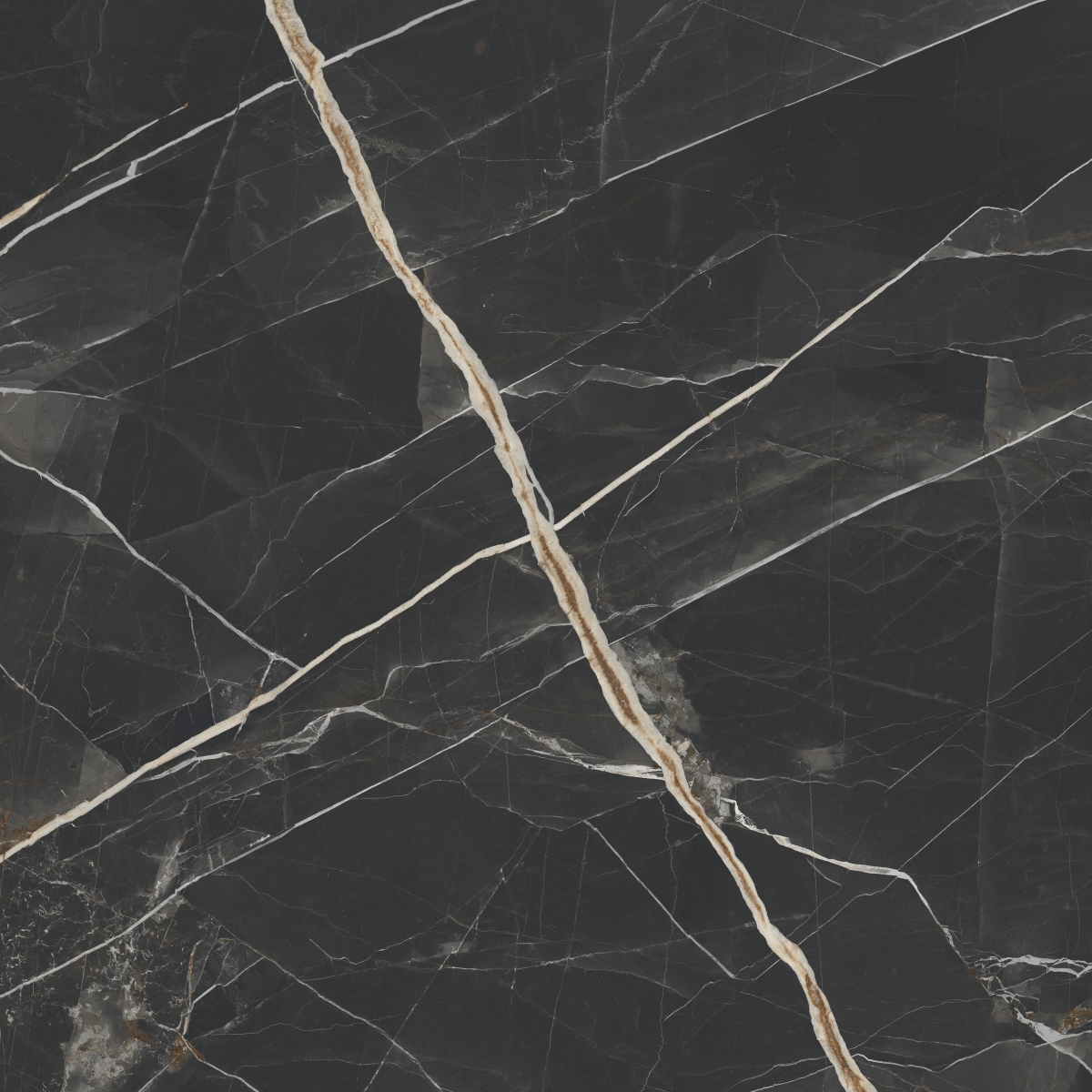 Calacata Black  119X119