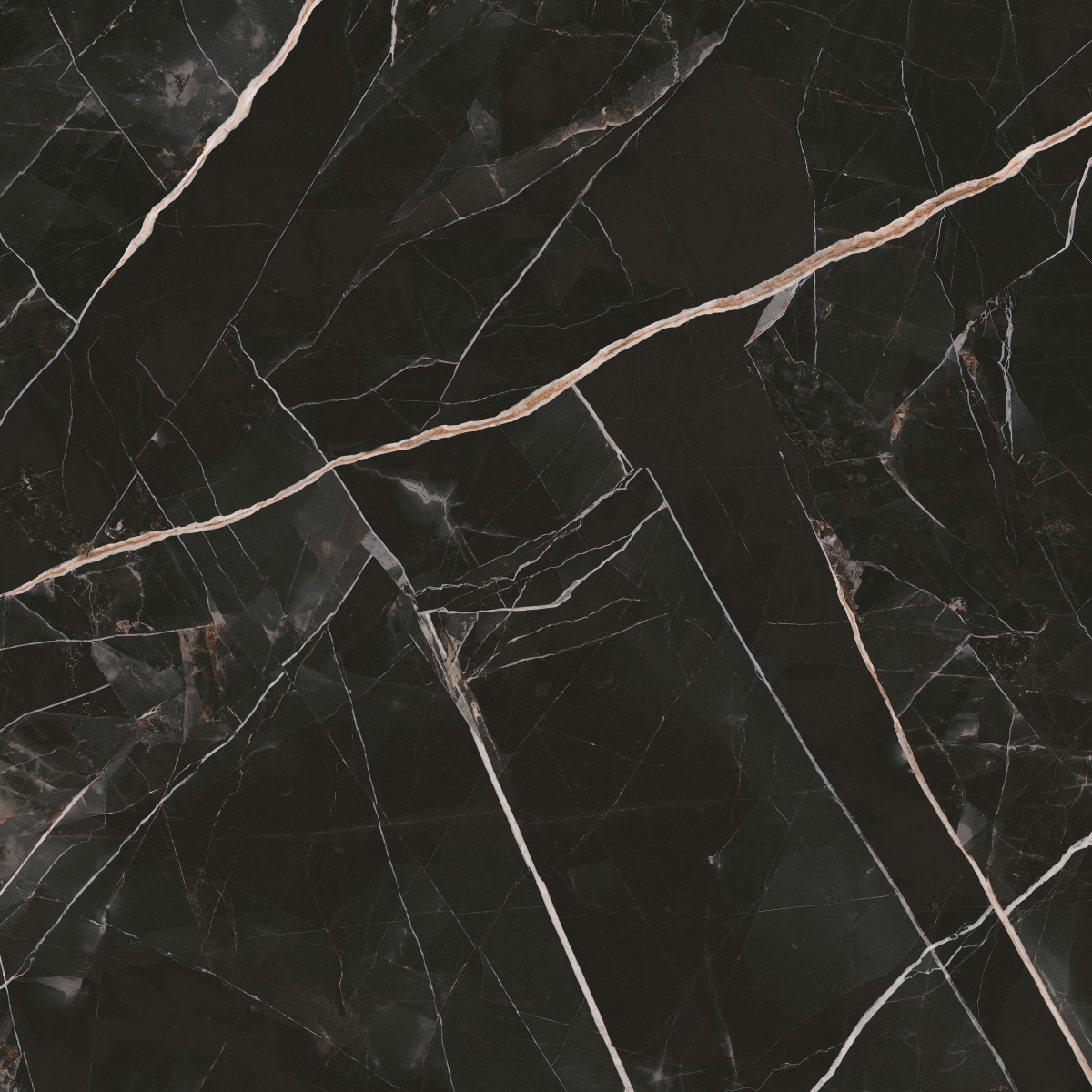 Calacata Black  160X160