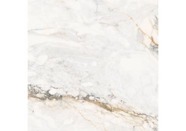 Calacata Gold  119X119